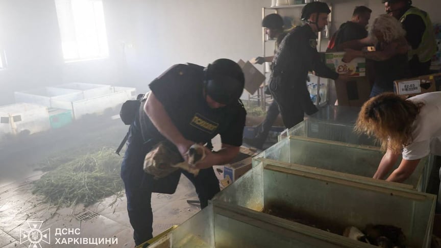 Фахівці рятують тварин після російської атаки на зоопарк Харкова, 15 червня 2026 року