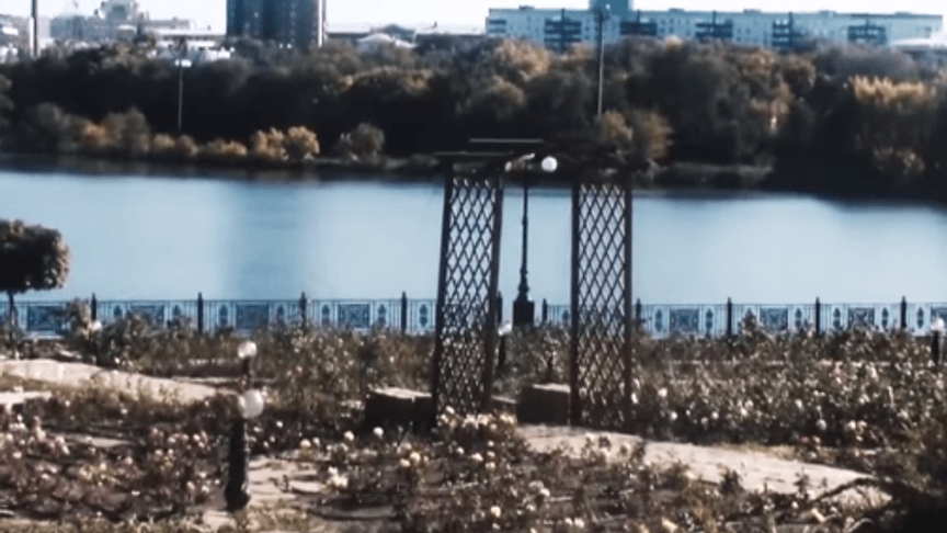 The Quiet Donetsk: Conversations in Petrivka