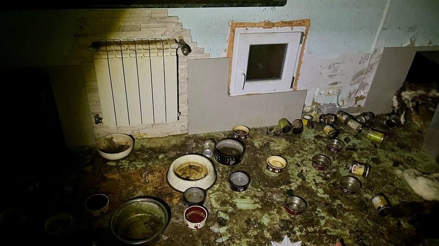 Будинок, де померли десятки тварин