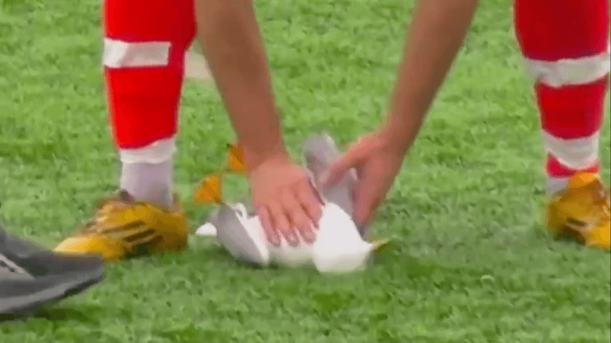 Чайку реанімують прямо під час футбольного матчу