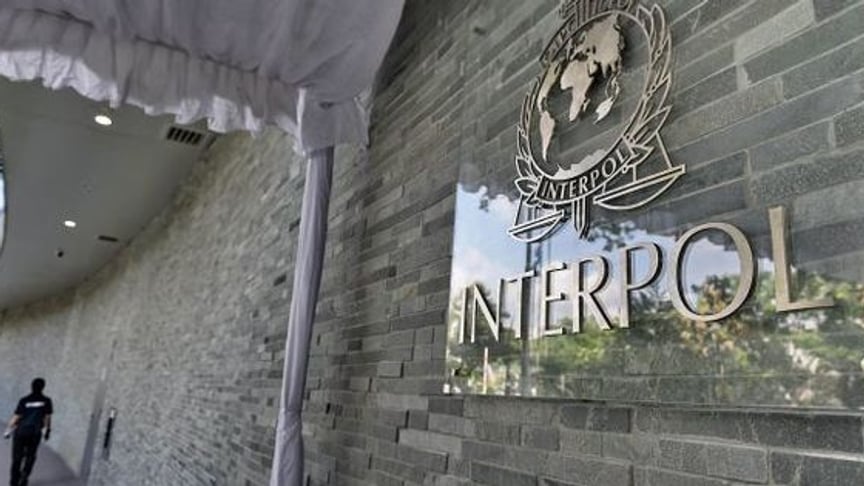 Interpol Drops Another Yanukovych Crony From Wanted List