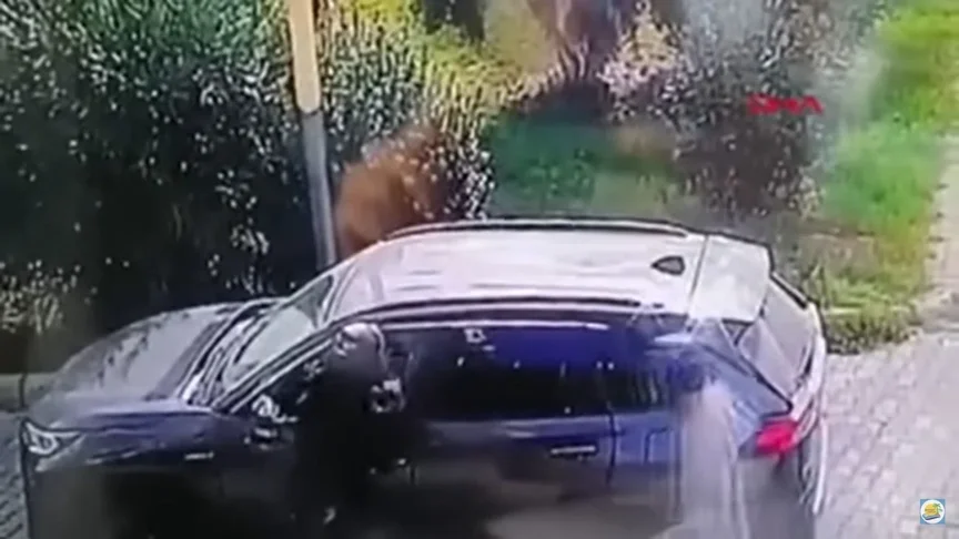 Момент нападу зафіксували камери відеоспостерження