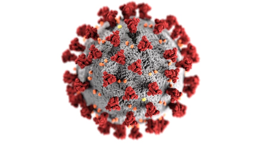 New Record Number of Coronavirus Recoveries in Ukraine