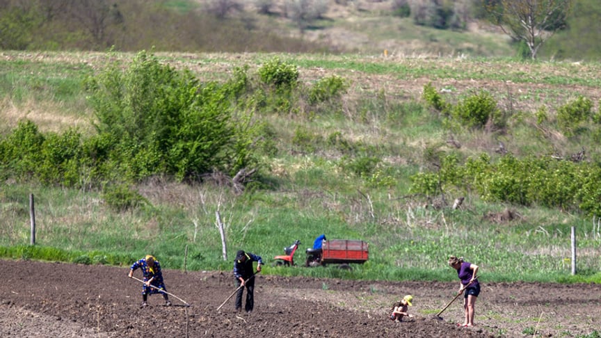 American Development Investment Makes For Faulty Irrigation In Moldova
