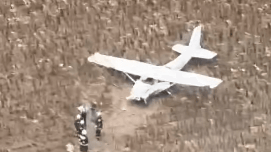 Викрадений літак Cessna 172 після аварійної посадки на соняшниковому полі
