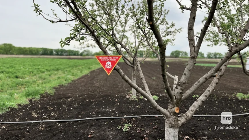 Табличка «Небезпечно, міни» перед полем у Харківській області