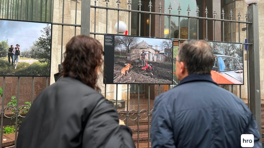 Виставка пам'яті Антоні Лаллікана