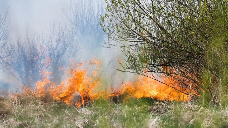 Пожежі у Великій Британії Пожежі у Великій Британії