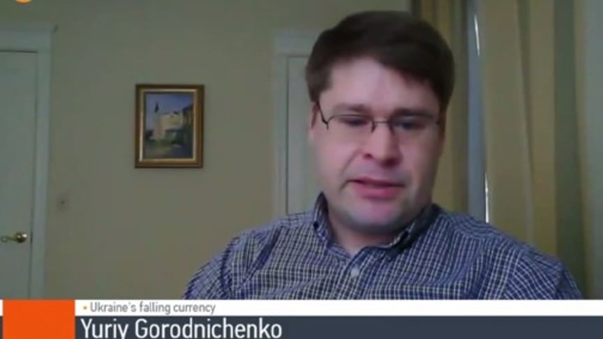 Ukraine's Currency 'Overvalued For A Long Time' - Berkley Professor