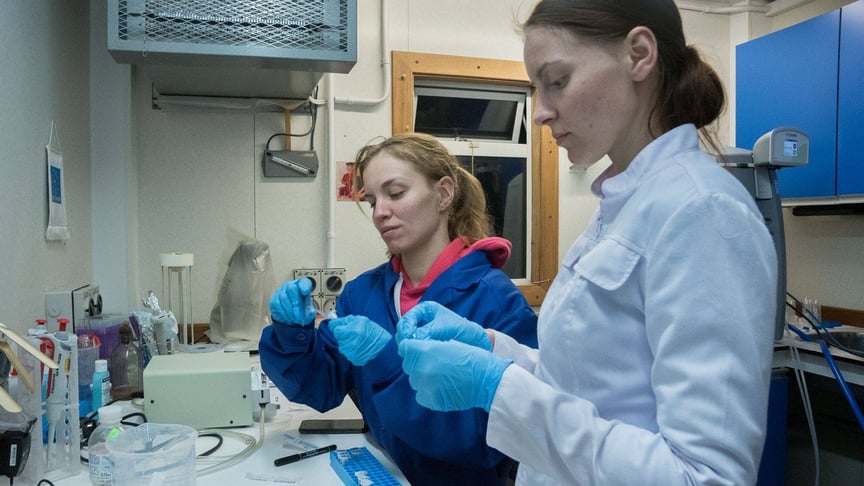 Фото ілюстративне. Робота вчених на станції "Академік Вернадський"