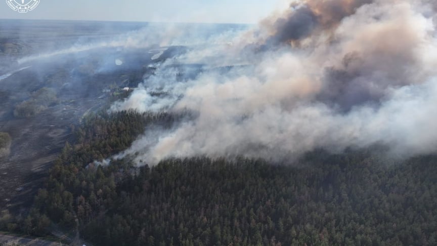 Масштабну пожежу на заповідній території Харківщини спровокував недопалок