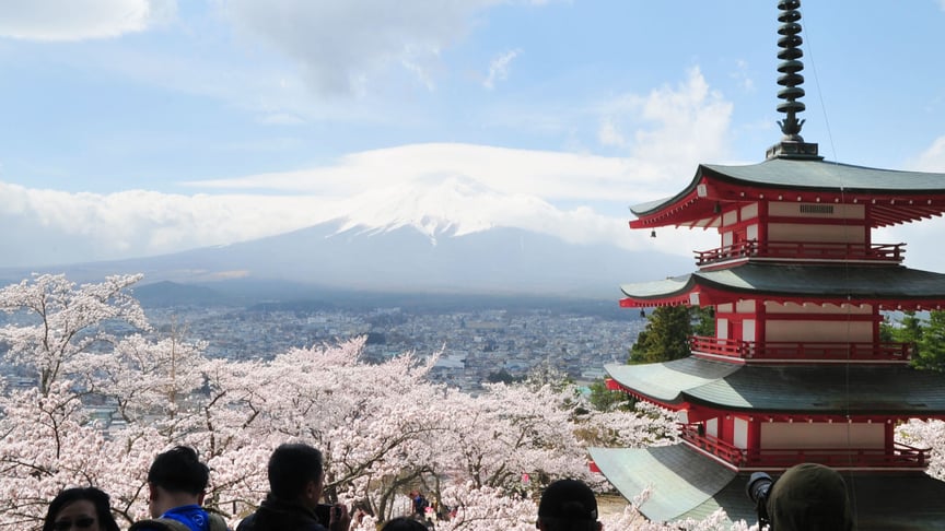 Краєвид на цвітіння сакур та гору Фуджі в парку Аракураяма Сенген, префектура Яманаші на сході Японії, 6 квітня 2018 року