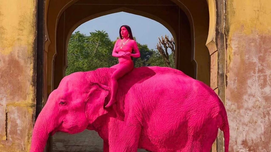 Фотосесія росіянки Юлії Бурулевої з пофарбованою слонихою