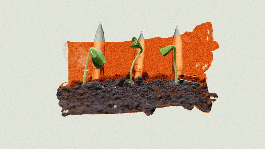Ammunition vs fertile soils: why Ukraine may lose its status as world's breadbasket