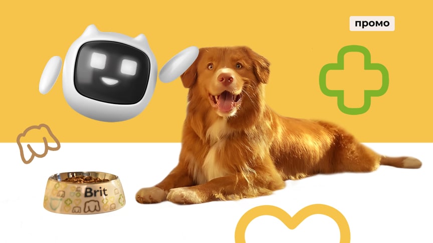 Стрес у собак і котів під час тривог: чатбот від Brit порадить, як підтримати улюбленця