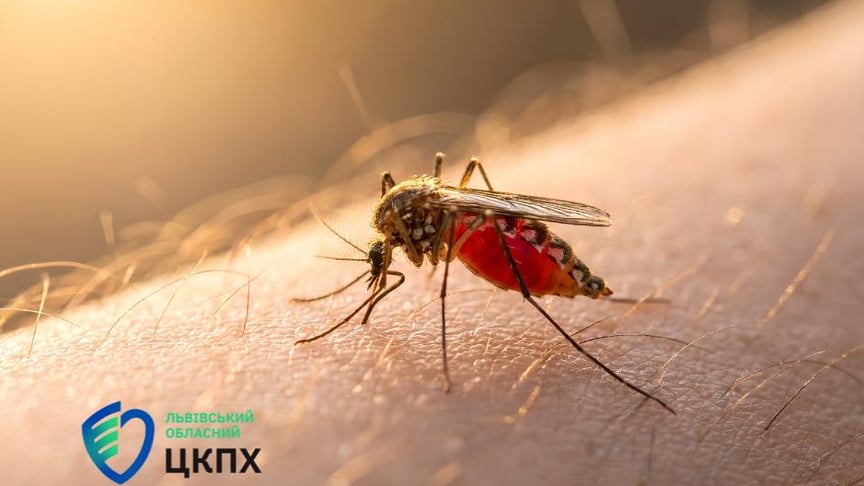 Ілюстративне фото