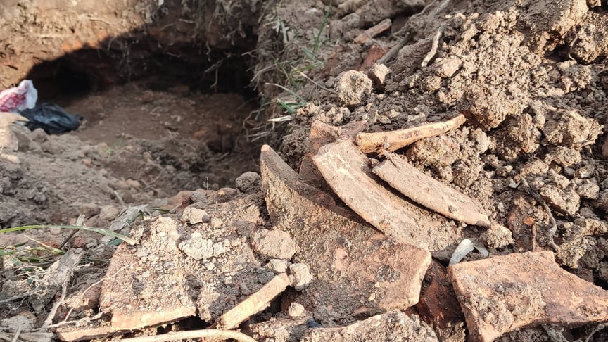 Місце розкопок у Троянівському лісі, де вдалося знайти пшеницю