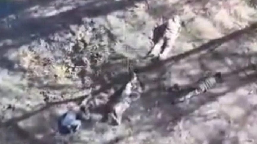 Беззбройні українські військові, які здалися у полон росіянам поблизу Вугледара та були ними розстріляні