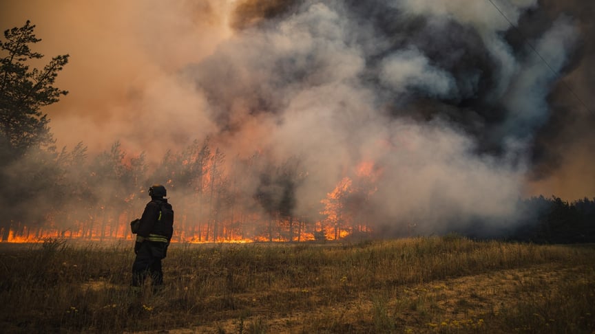 Лісова пожежа, яка виникла у Краматорському районі внаслідок російського обстрілу