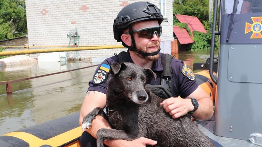 Evacuation of residents and rescue of animals continues in flooded areas of Kherson Oblast