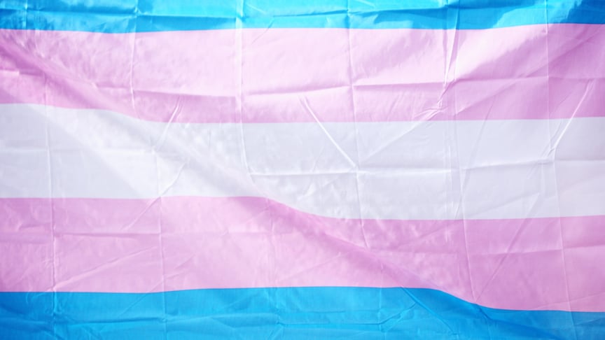 Police File Assault Against Transgender as Robbery in Central Ukraine