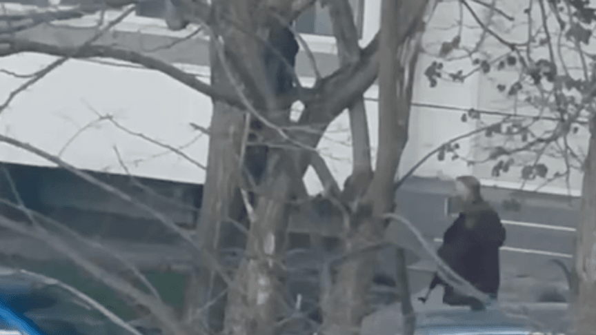 Ілюстративне фото. Чоловік, який влаштував теракт у Києві