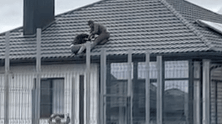 Військовий ТЦК штовхається з чоловіком на даху будинку