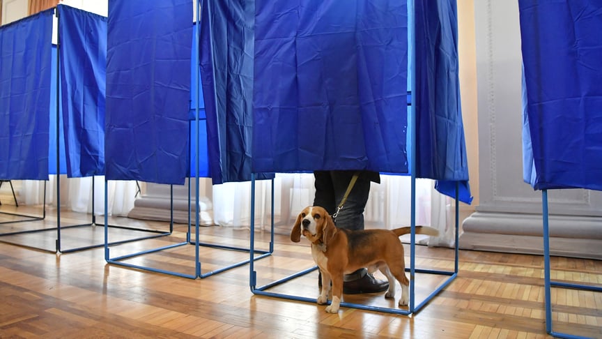 Виборець із собакою стоїть у кабінці для голосування на виборчій дільниці під час другого туру президентських виборів в Україні в Києві, 21 квітня 2019 року