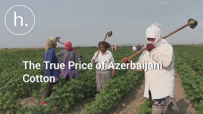 The True Price of Azerbaijani Cotton