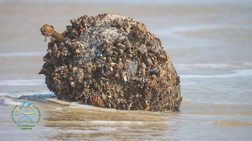Протикорабельні міни дрейфують морем і виносяться на узбережжя нацпарку