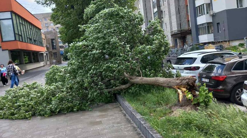 Наслідки негоди у Львові, 29 червня 2026 року