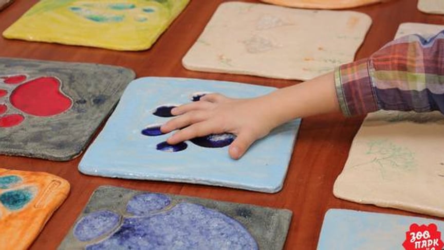 Seeing Through Touch: Behind the Kyiv Zoo Project for the Blind