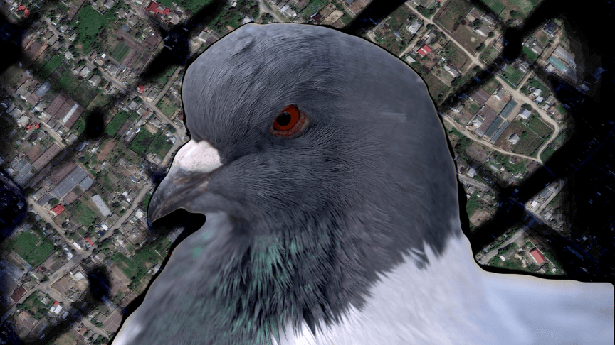 Їли голубів і собачу кашу, билися в чергах по продукти, падали від виснаження. Як виживають в окупованих Олешках