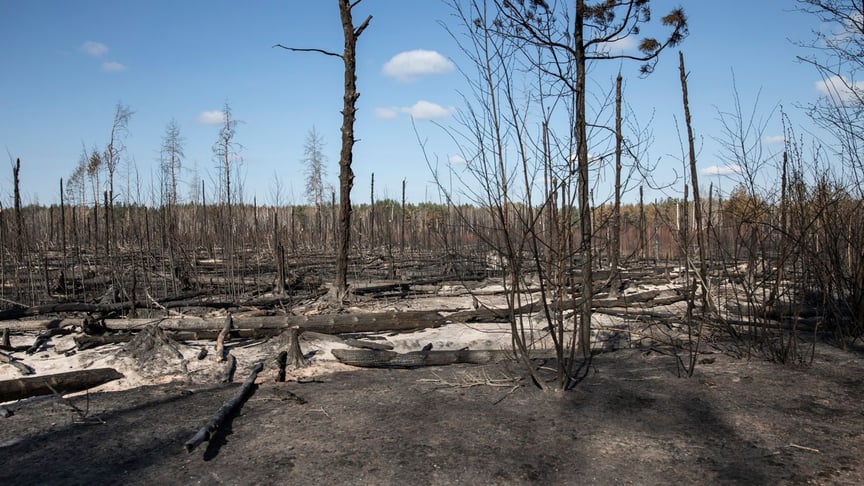 Entire villages have been burnt to the ground in the Ovruch district of the Zhytomyr region, Ukraine. April 21, 2020. The forests are still smoldering.