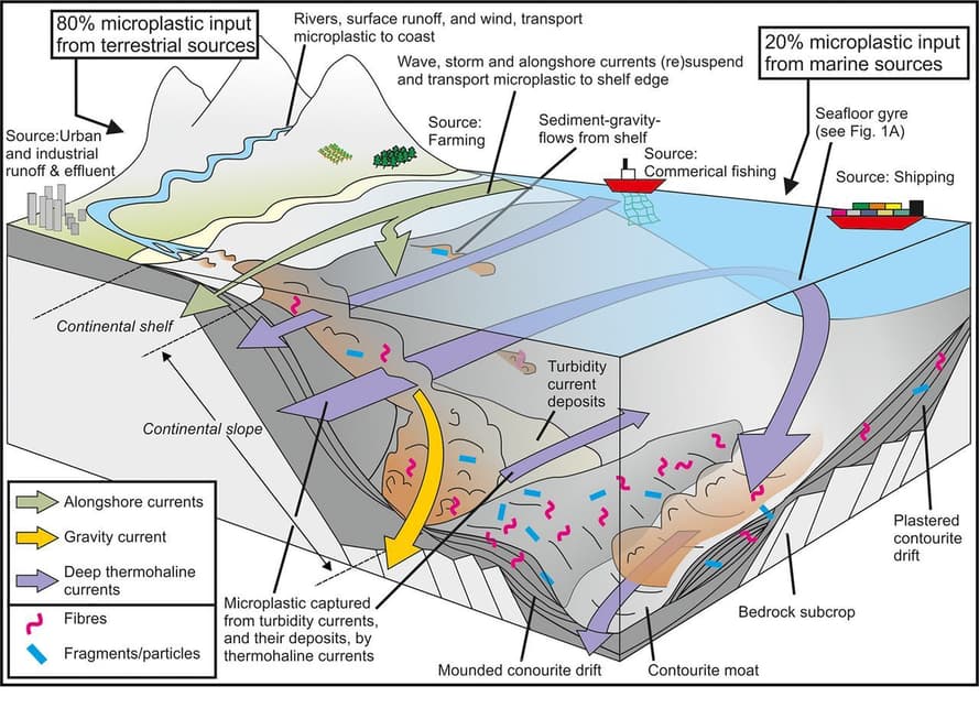 Схема скупчення мікропластику на дні світового океану
